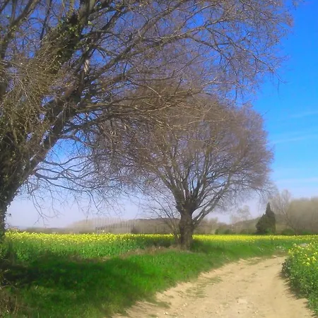 L'espigol Panzió Vulpellac